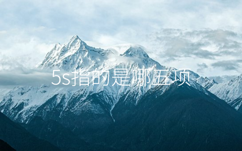 5s指的是哪五项