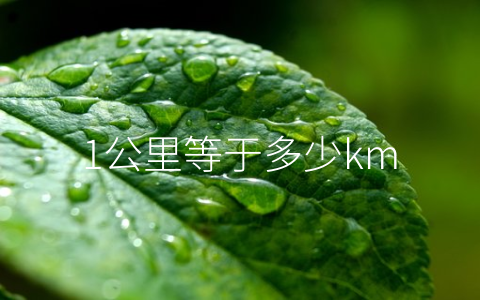 1公里等于多少km