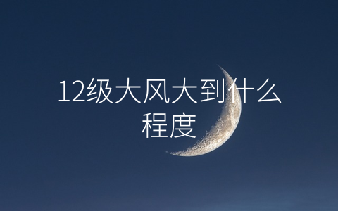 12级大风大到什么程度