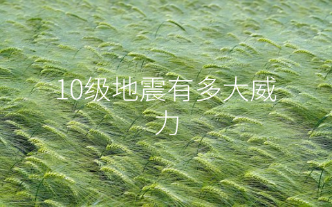 10级地震有多大威力