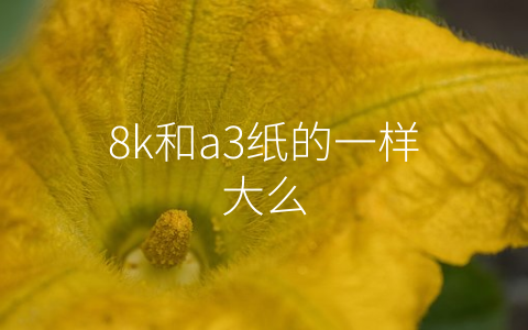 8k和a3纸的一样大么