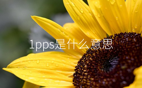 1pps是什么意思