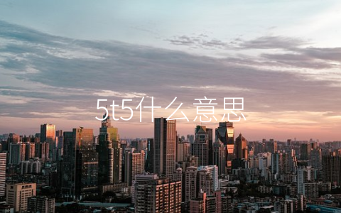 5t5什么意思