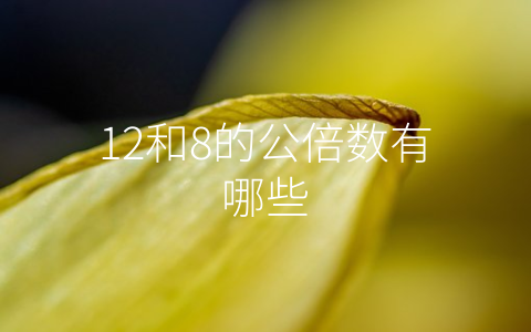 12和8的公倍数有哪些