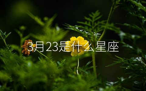 3月23是什么星座