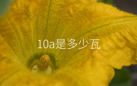 10a是多少瓦