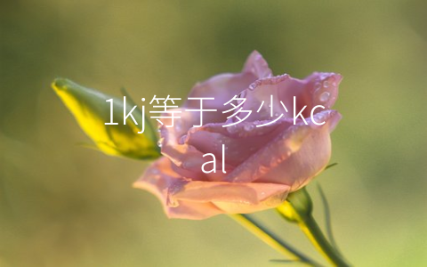 1kj等于多少kcal