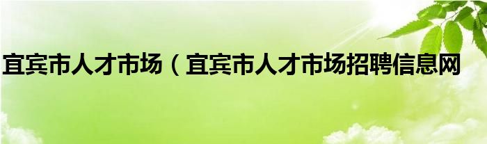 宜宾市人才市场（宜宾市人才市场招聘信息网