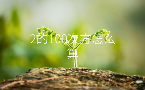 2的100次方怎么算