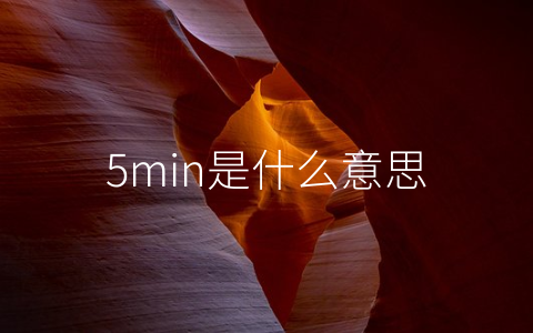 5min是什么意思