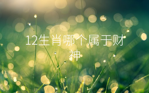 12生肖哪个属于财神