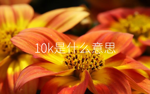 10k是什么意思