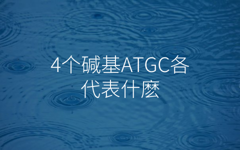 4个碱基ATGC各代表什麽