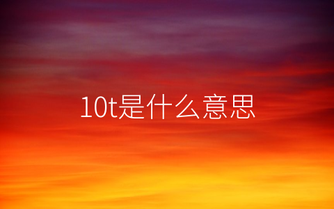 10t是什么意思