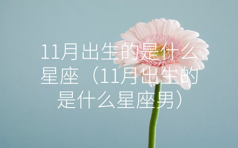 11月出生的是什么星座（11月出生的是什么星座男）