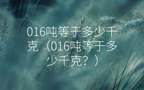 016吨等于多少千克（016吨等于多少千克？）