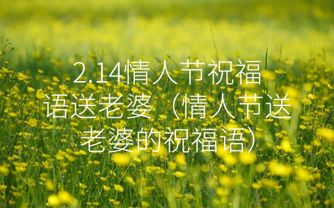 2.14情人节祝福语送老婆（情人节送老婆的祝福语）