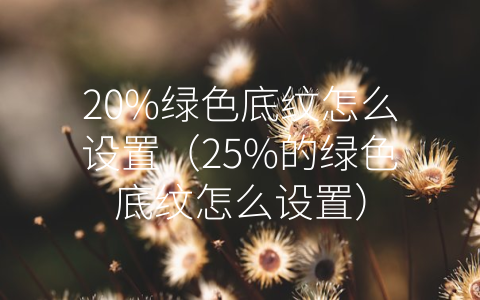 20%绿色底纹怎么设置（25%的绿色底纹怎么设置）