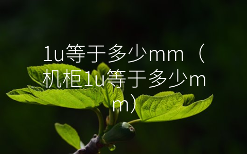 1u等于多少mm（机柜1u等于多少mm）