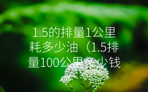 1.5的排量1公里耗多少油（1.5排量100公里多少钱）