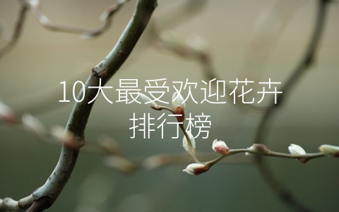 10大最受欢迎花卉排行榜