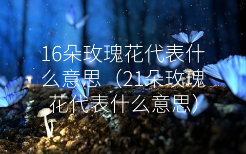 16朵玫瑰花代表什么意思（21朵玫瑰花代表什么意思）