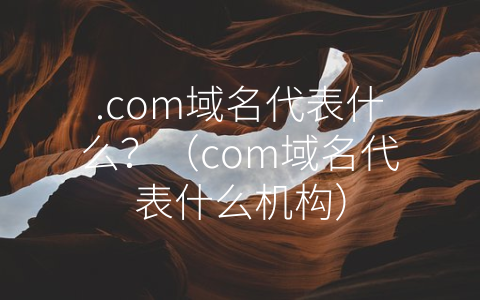 .com域名代表什么？（com域名代表什么机构）