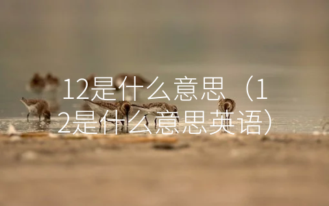 12是什么意思（12是什么意思英语）