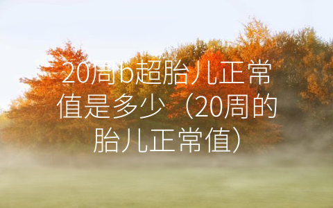 20周b超胎儿正常值是多少（20周的胎儿正常值）