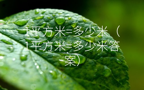 1平方米=多少米（1平方米=多少米答案）