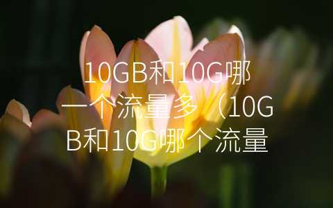 10GB和10G哪一个流量多（10GB和10G哪个流量多）