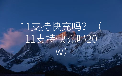 11支持快充吗？（11支持快充吗20w）