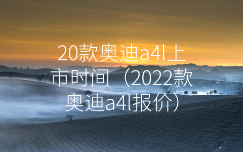 20款奥迪a4l上市时间（2022款奥迪a4l报价）