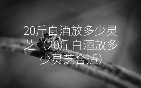 20斤白酒放多少灵芝（20斤白酒放多少灵芝合适）