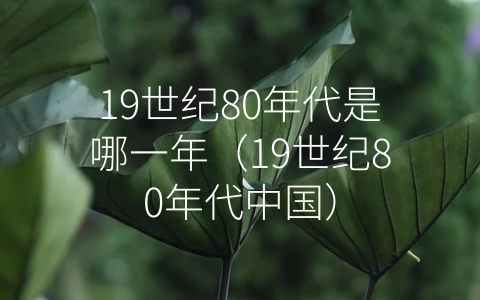 19世纪80年代是哪一年（19世纪80年代中国）