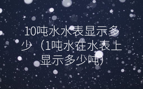 10吨水水表显示多少（1吨水在水表上显示多少吨）