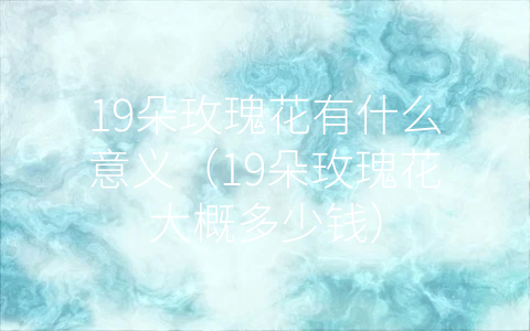 19朵玫瑰花有什么意义（19朵玫瑰花大概多少钱）