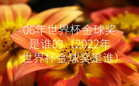 06年世界杯金球奖是谁的（2022年世界杯金球奖是谁）