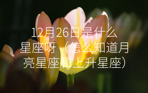 12月26日是什么星座呀（怎么知道月亮星座和上升星座）