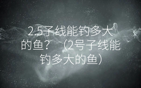 2.5子线能钓多大的鱼？（2号子线能钓多大的鱼）