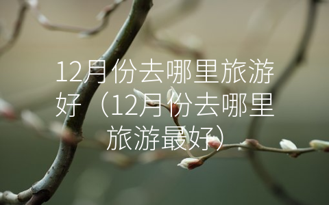 12月份去哪里旅游好（12月份去哪里旅游最好）