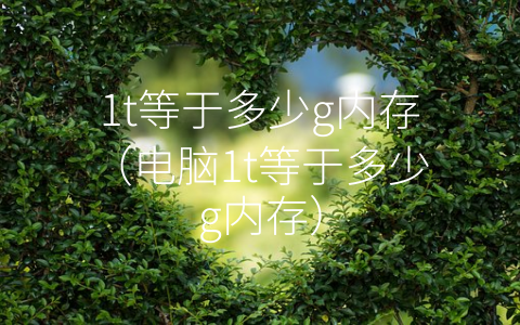 1t等于多少g内存（电脑1t等于多少g内存）