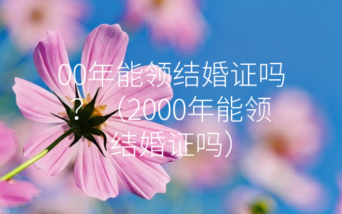 00年能领结婚证吗？（2000年能领结婚证吗）