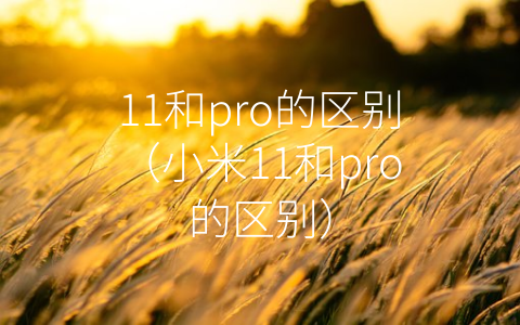 11和pro的区别（小米11和pro的区别）