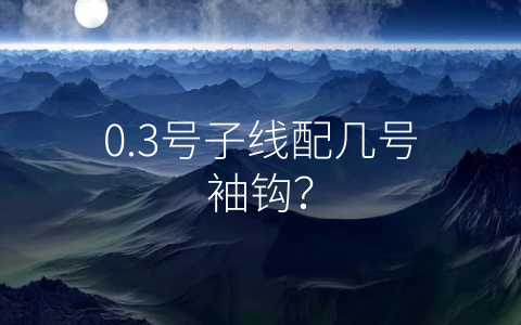 0.3号子线配几号袖钩？