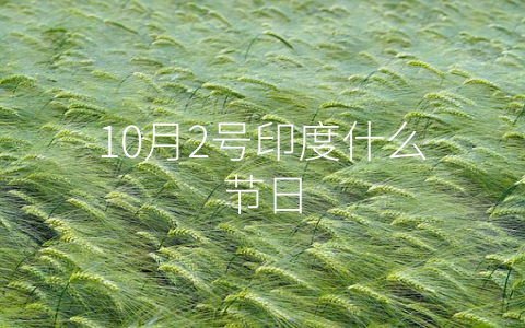 10月2号印度什么节日