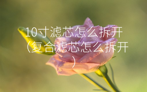 10寸滤芯怎么拆开（复合滤芯怎么拆开）