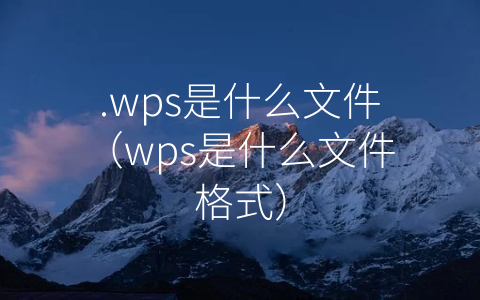 .wps是什么文件（wps是什么文件格式）