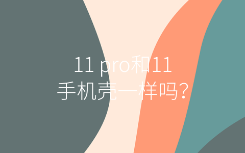 11 pro和11手机壳一样吗？