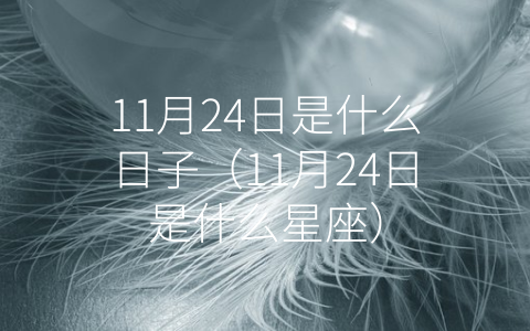 11月24日是什么日子（11月24日是什么星座）